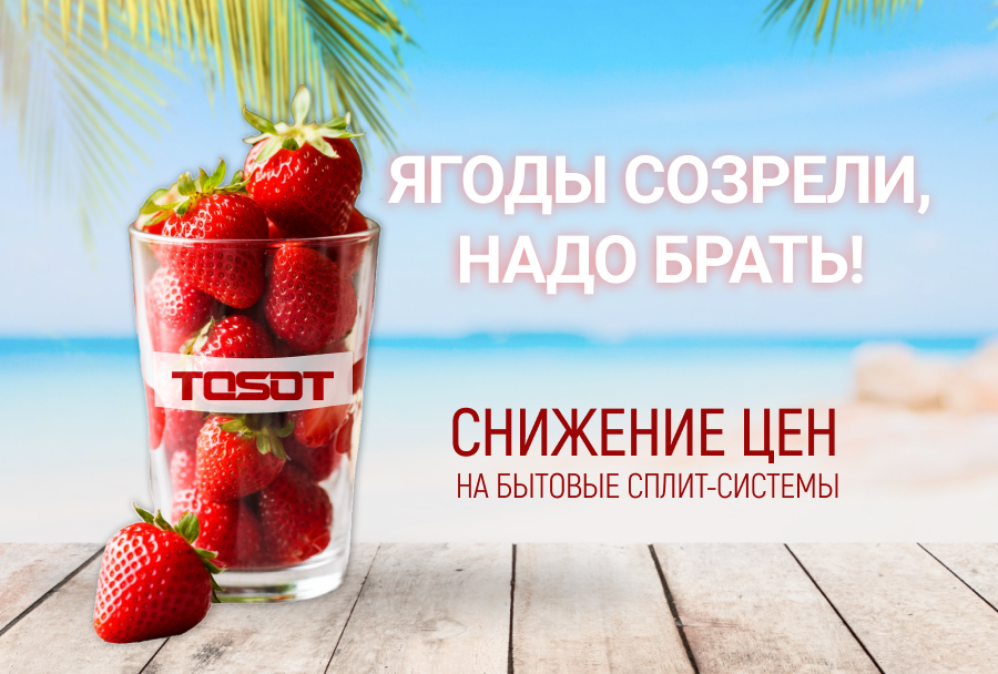 Тосот - обложка 900x608.jpg
